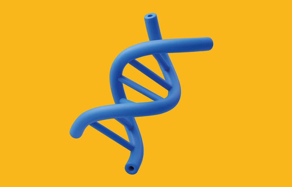 A DNA helix